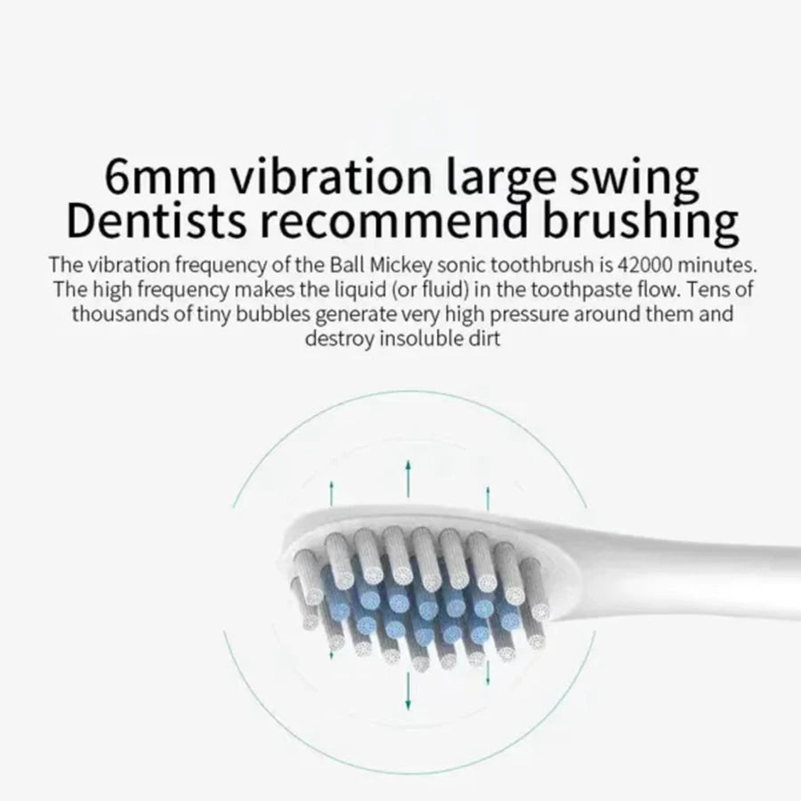 Electric Ultrasonic Toothbrush USB Rechargeable – 6 Speed Sonic Whitening Toothbrush, Waterproof Automatic Adult Tooth Cleaner, Soft Bristle Tooth Brush with Replacement Heads, Couple Set Dental Care